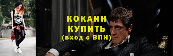 стафф Аркадак