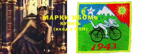 стафф Аркадак